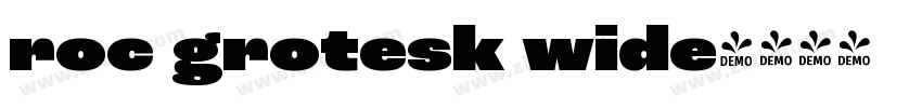 roc grotesk wide字体转换